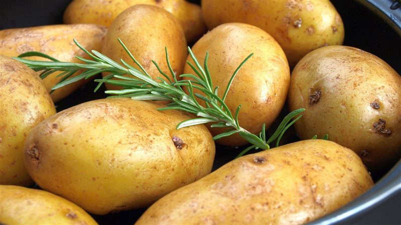 ТОП-7 Правил посадки картофеля для богатого урожая 2023 #10